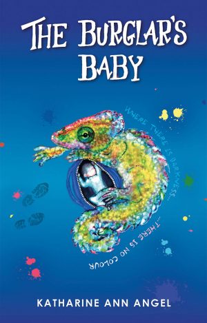 Burglar's Baby - Katharine Ann Angel
